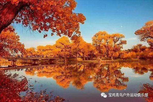 她因痴迷健身,男友与其分手,塑形成功后重获真爱!